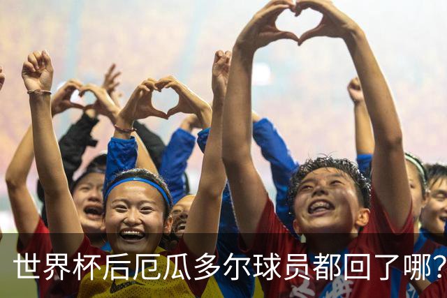世界杯后厄瓜多尔球员都回了哪？输给墨西哥后他们各归其主
