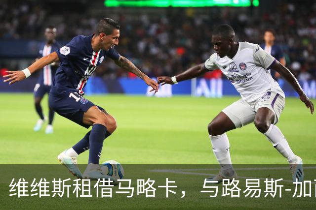 维维斯租借马略卡，与路易斯-加西亚重逢